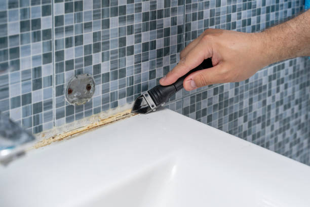 Best Mold Testing and Inspection Services in Boerne, TX